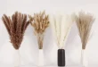 Pampas Grass Decor