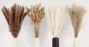 Pampas Grass Decor