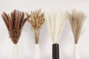 Pampas Grass Decor