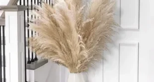 Pampas Grass Decor