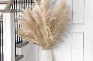 Pampas Grass Decor