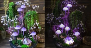 Mushroom Decor