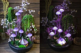 Mushroom Decor