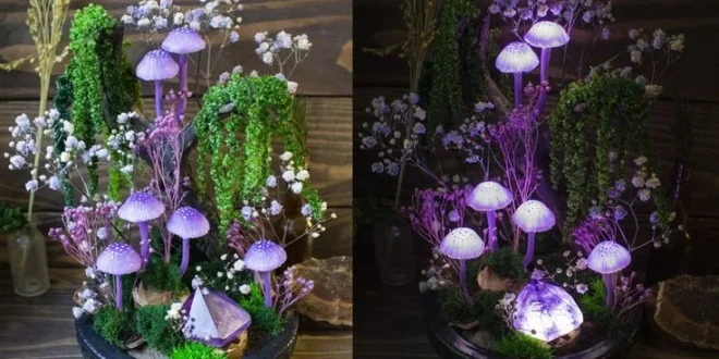 Mushroom Decor