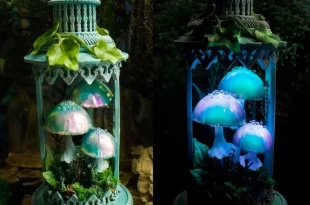 Mushroom Decor