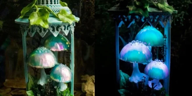 Mushroom Decor